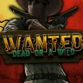 Wanted Dead or a Wild